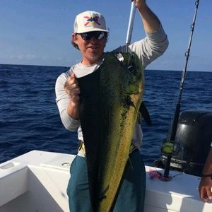 Meet your Posher, Bobby